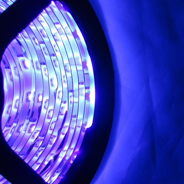 ultraviolet led strip(365nm uv LED Strips)5M/reel